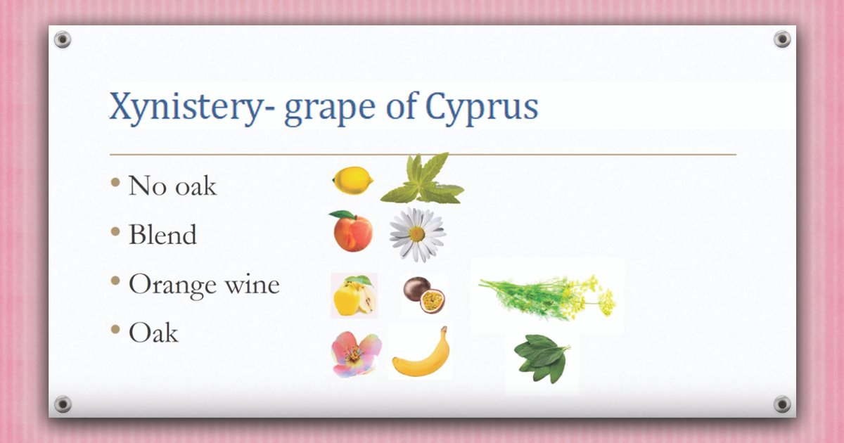 Xynistery- grape of Cyprus