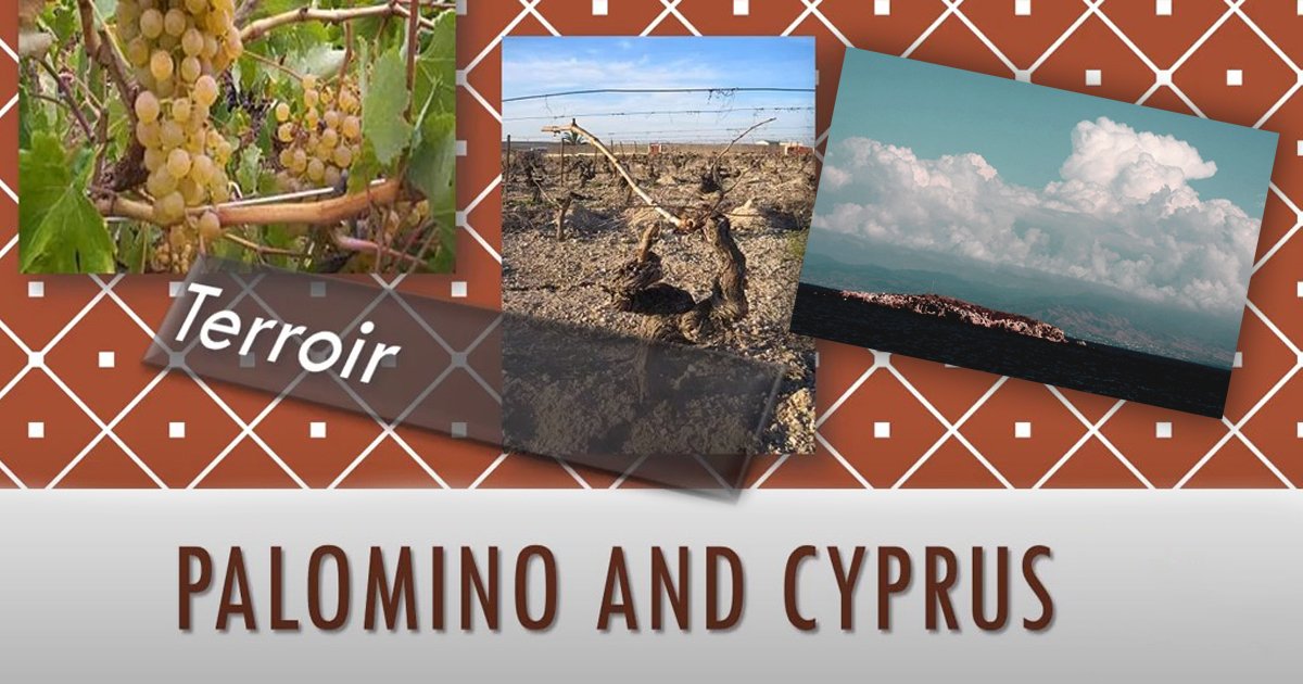 Palomino and Cyprus