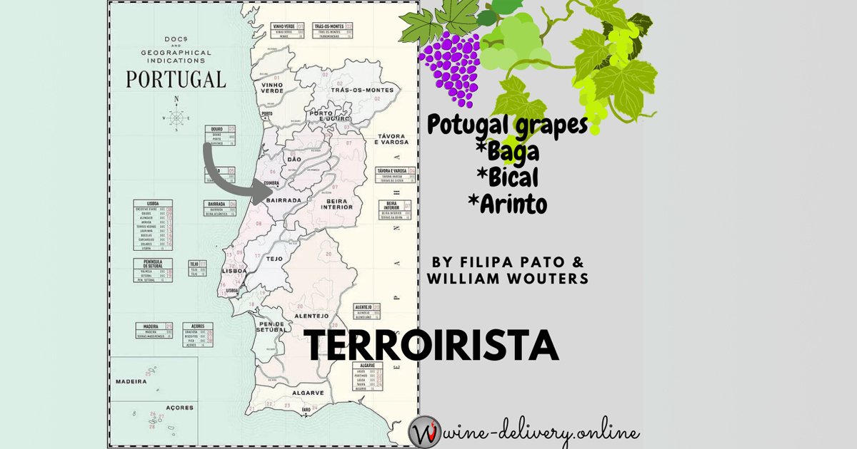 Portugal wine-tasting from Bairrada with William Wouters