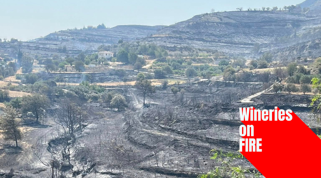 Wildfire in Limassol Devastates Wineries